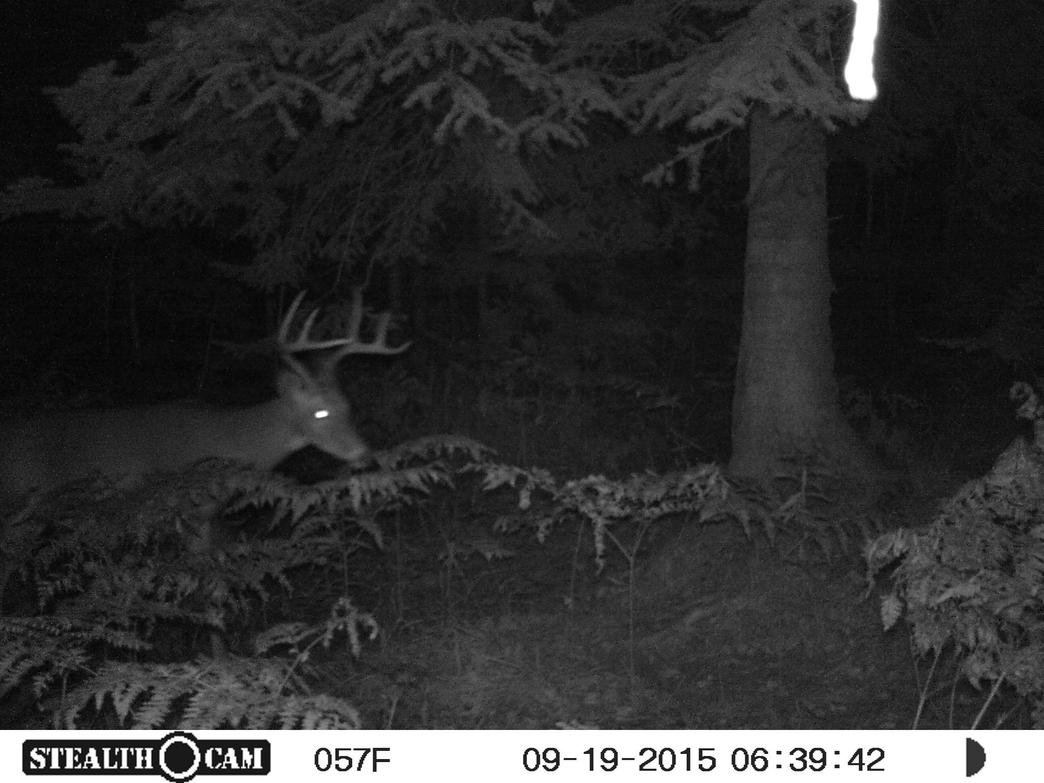 6997 Graham Road Lachine, MI 49753 - Photo 24 of 27 Gallery Image 24