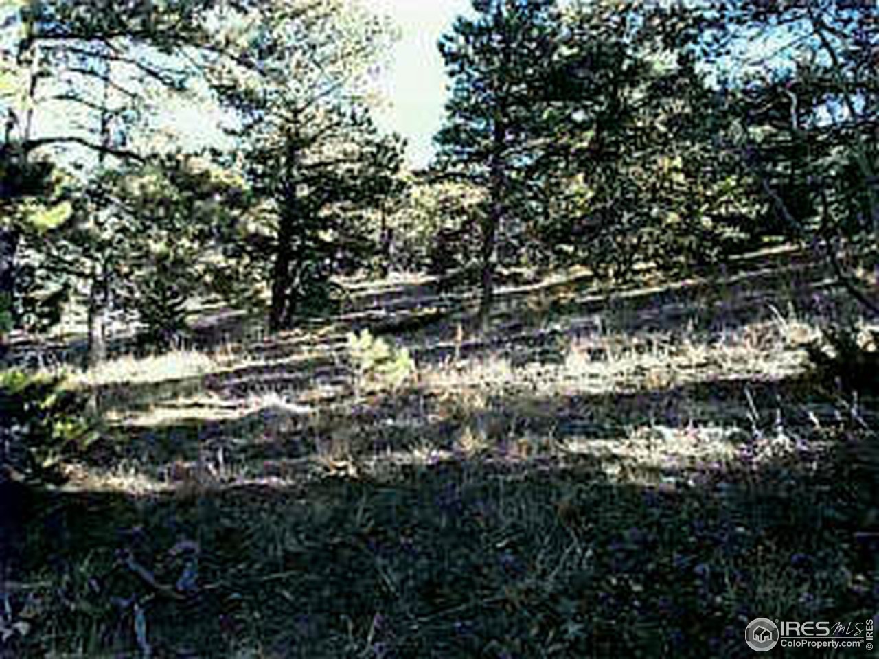 0 St Vrain Road, Unit TBD Lyons, CO 80510 - Photo 2 of 3 Gallery Image 2