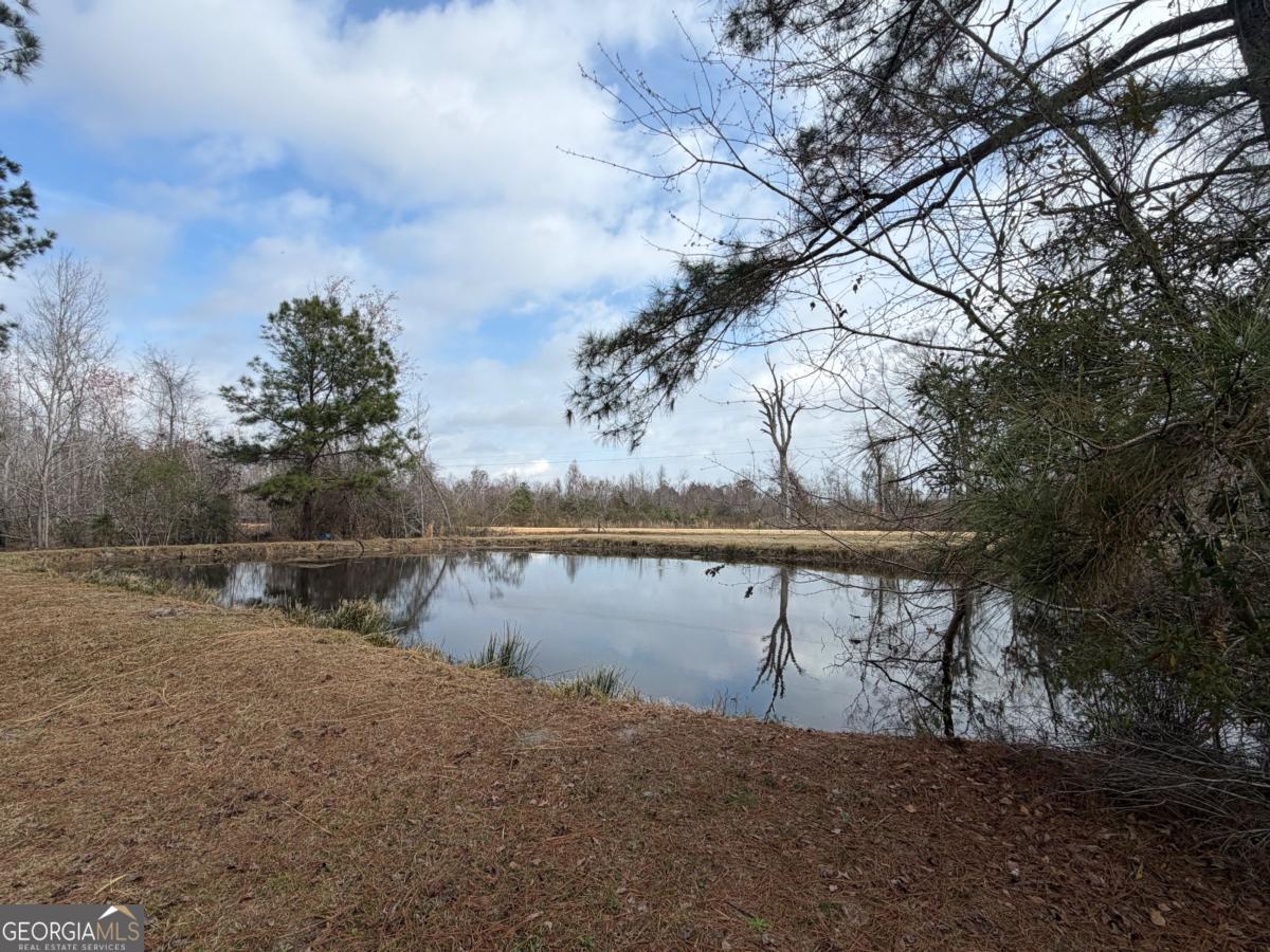 448 Archie Miller Road Denton, GA 31532 - Photo 34 of 42