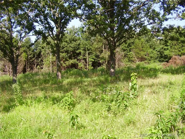 $290,000 | 3525 South 240th Road, Louisburg, MO 65685