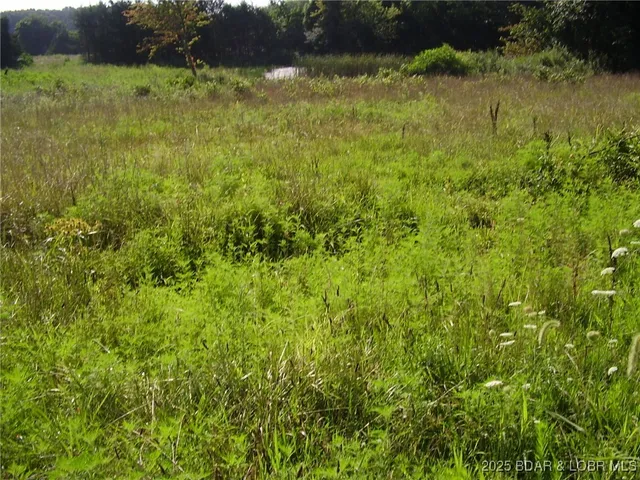 $290,000 | 3525 South 240th Road, Louisburg, MO 65685