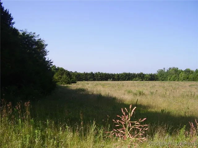 $290,000 | 3525 South 240th Road, Louisburg, MO 65685