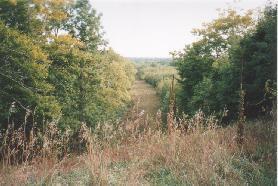 River Road Manistee, MI 49660 - Photo 1 of 3 Primary Photo