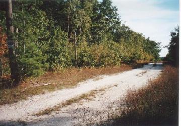 River Road Manistee, MI 49660 - Photo 3 of 3 Additional Photo