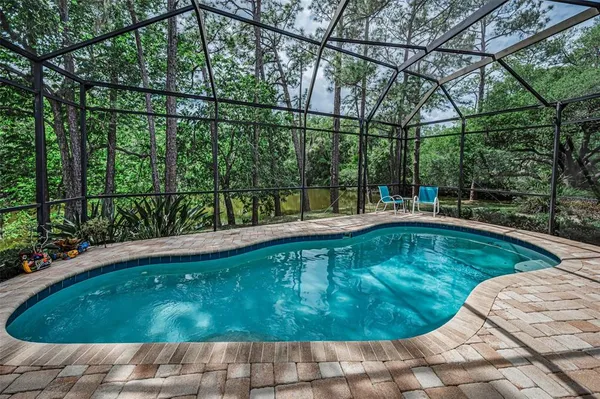 a view of a swimming pool with a yard