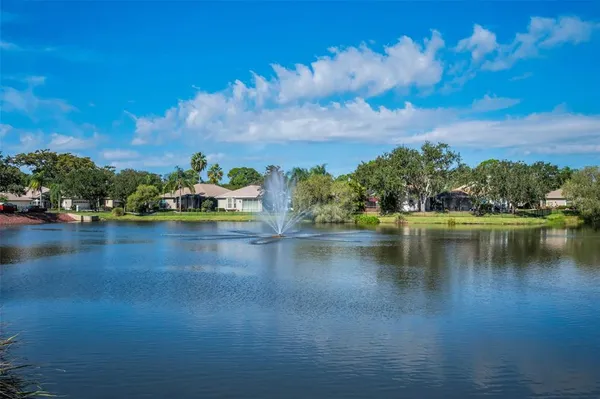 a view of a lake with houses in the background
