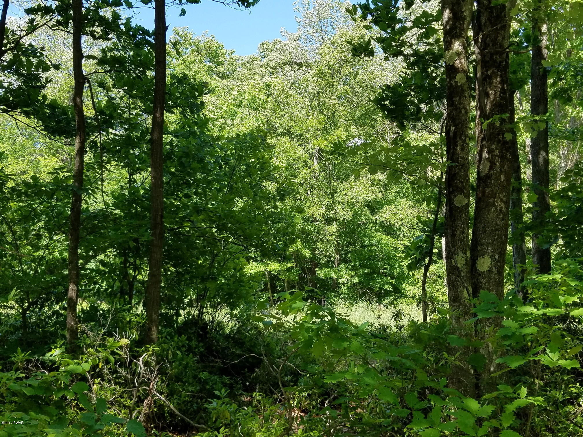 Columbia Lake Road Deposit, NY 13754 - Photo 2 of 5