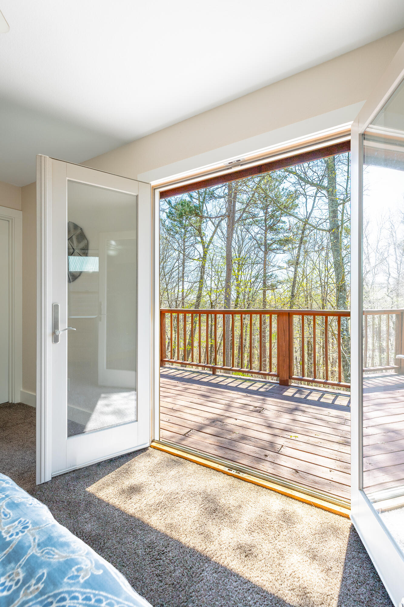 292 Log Cabin Lane Dunlap, TN 37327 - Photo 54 of 133 292 Log Cabin Lane HD-39