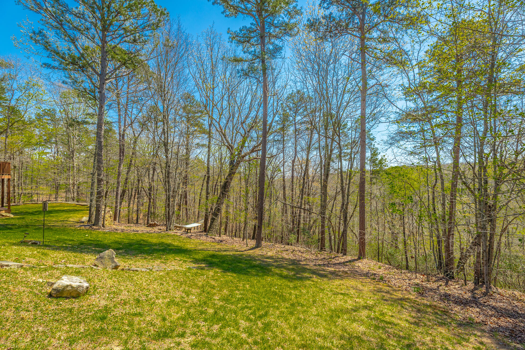 292 Log Cabin Lane Dunlap, TN 37327 - Photo 68 of 133 292 Log Cabin Lane HD-82
