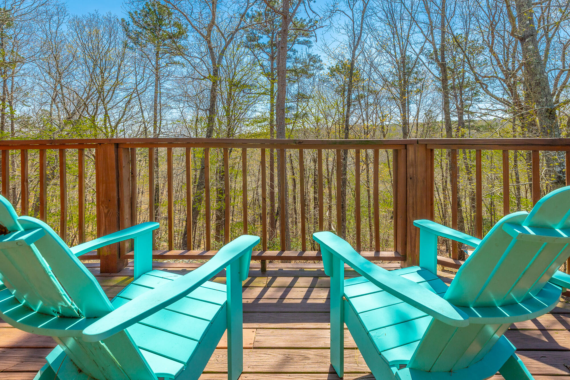 292 Log Cabin Lane Dunlap, TN 37327 - Photo 78 of 133 292 Log Cabin Lane HD-103