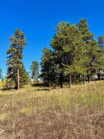 $325,000 | 26 Wood Run Trail, Unit 5, McCall, ID 83638