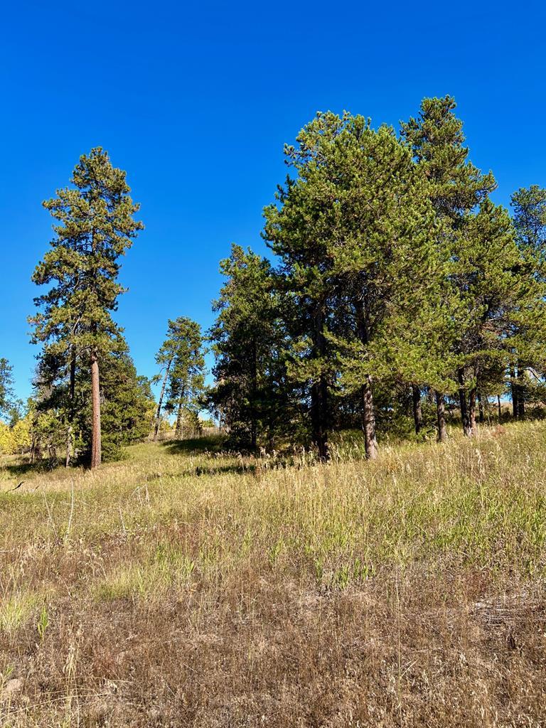 26 Wood Run Trail, Unit 5 McCall, ID 83638 - Photo 2 of 7