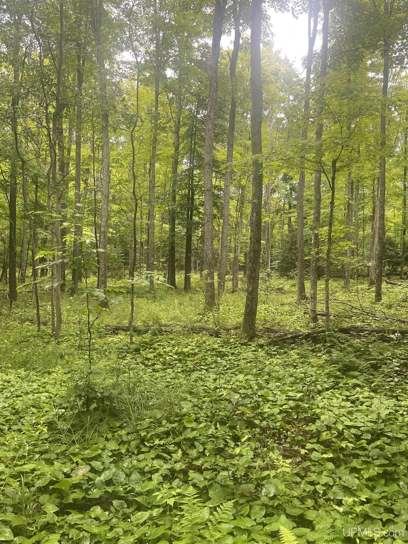 15921 Beartown Road Baraga, MI 49908 - Photo 6 of 11 Gallery Image 6