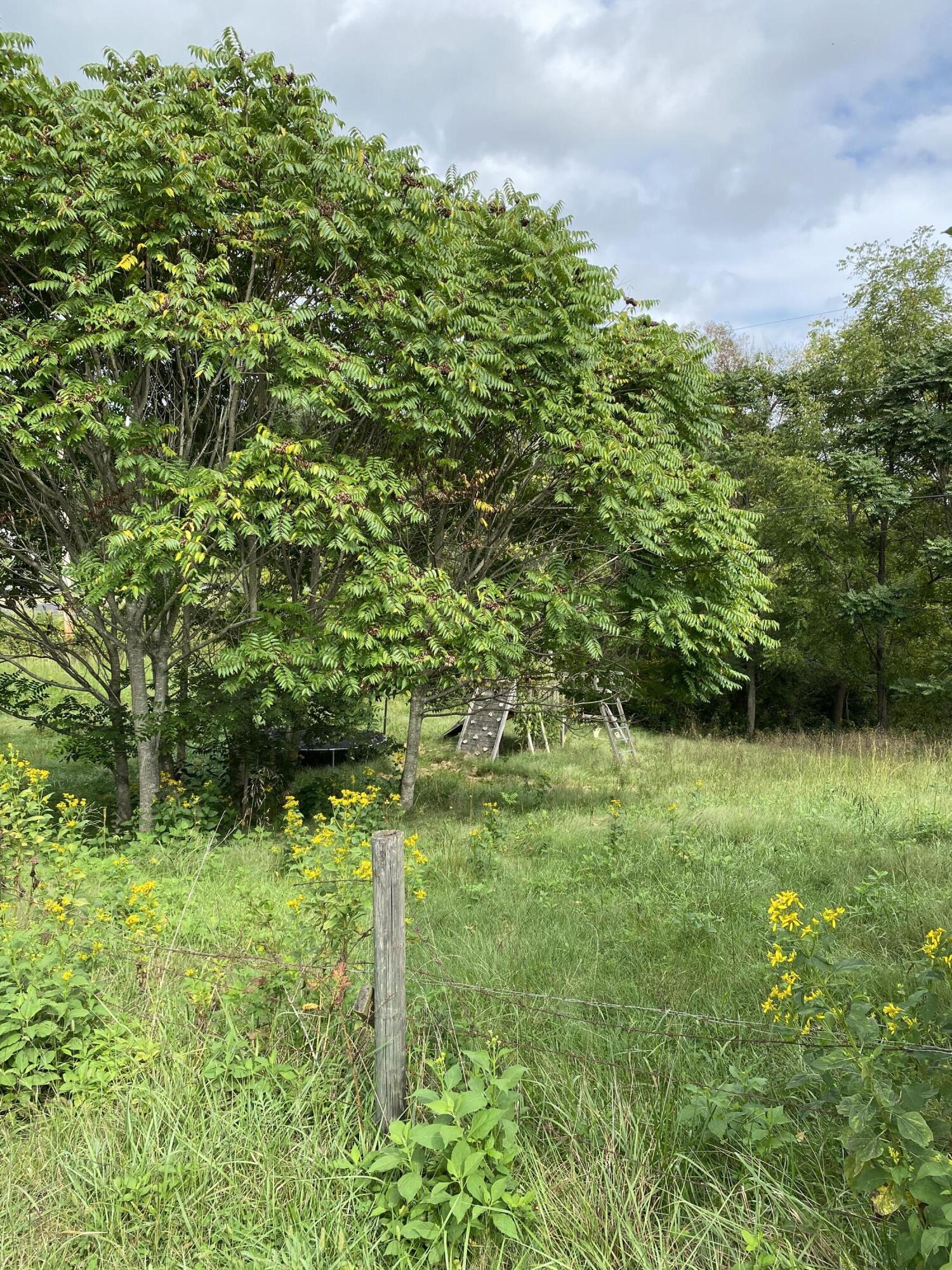 1050 Highland Road Thaxton, VA 24174 - Photo 26 of 31 a backyard of a house with lots of green space and garden