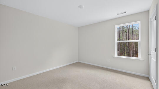 913 Comice Pear Way Willow Spring, NC 27592 - Photo 18 of 27