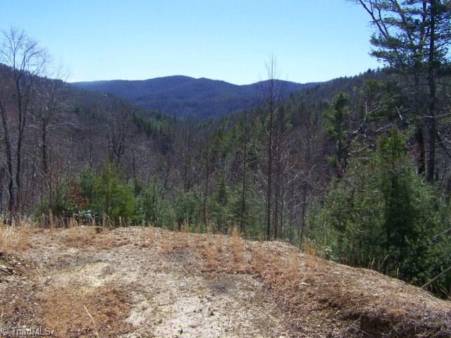0 Deer Run Purlear, NC 28665 - Photo 1 of 15 Gallery Image 1
