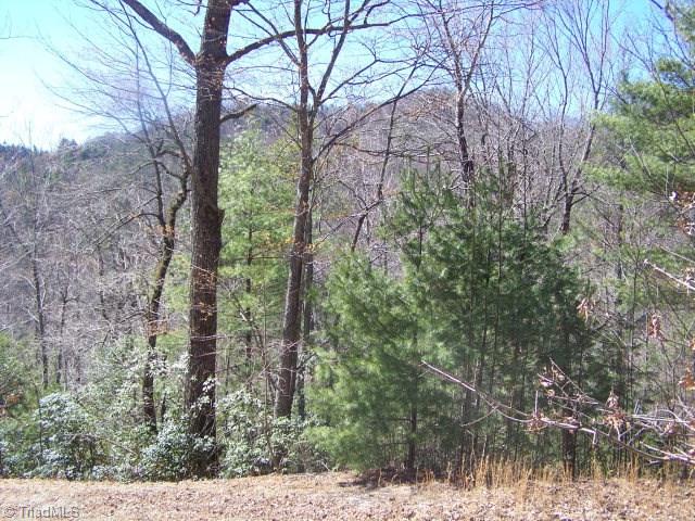 0 Deer Run Purlear, NC 28665 - Photo 2 of 15 Gallery Image 2