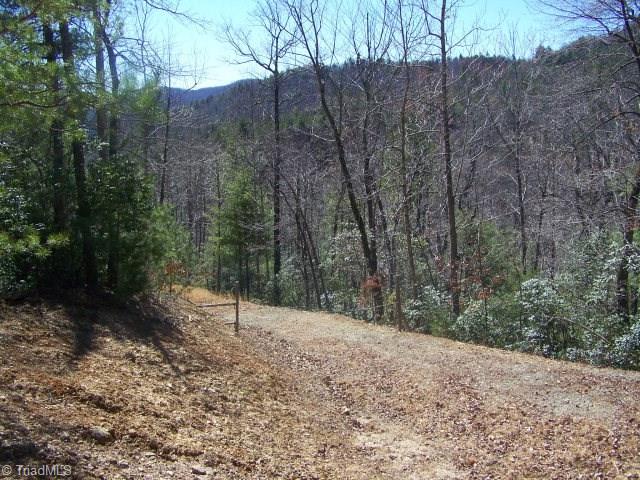 0 Deer Run Purlear, NC 28665 - Photo 3 of 15 Gallery Image 3