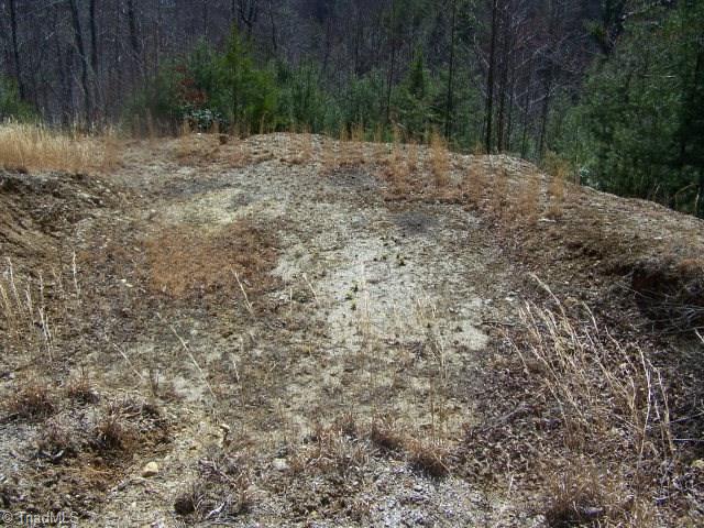 0 Deer Run Purlear, NC 28665 - Photo 5 of 15 Gallery Image 5