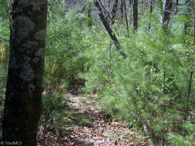 0 Deer Run Purlear, NC 28665 - Photo 7 of 15 Gallery Image 7