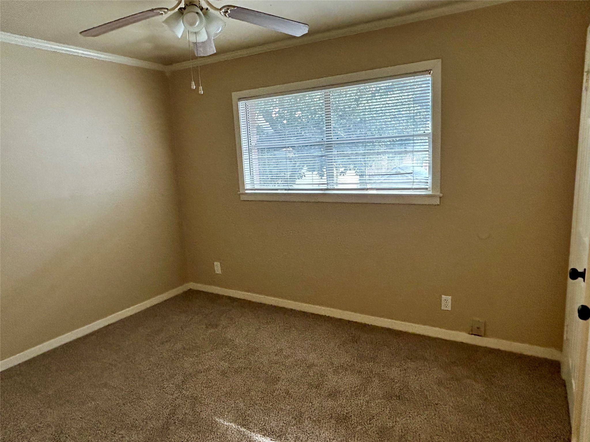 1411 Indiana Street, Unit 5 Houston, TX 77006 - Photo 9 of 14 an empty room with a chandelier fan