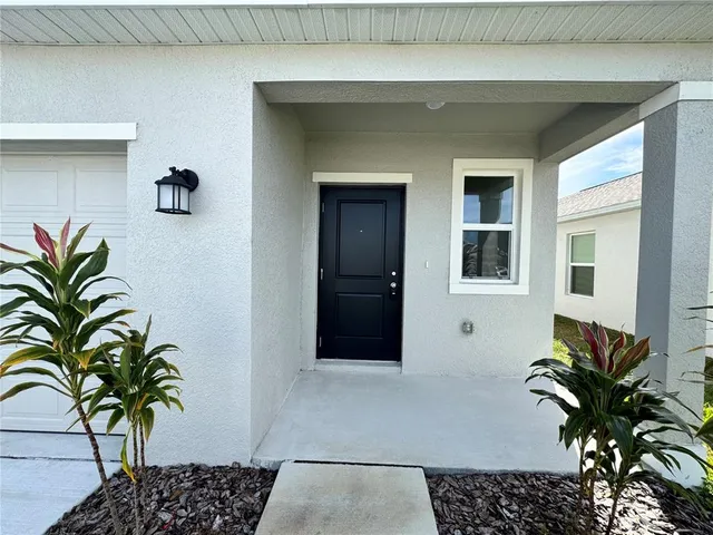 a potted plant sitting in front of a house