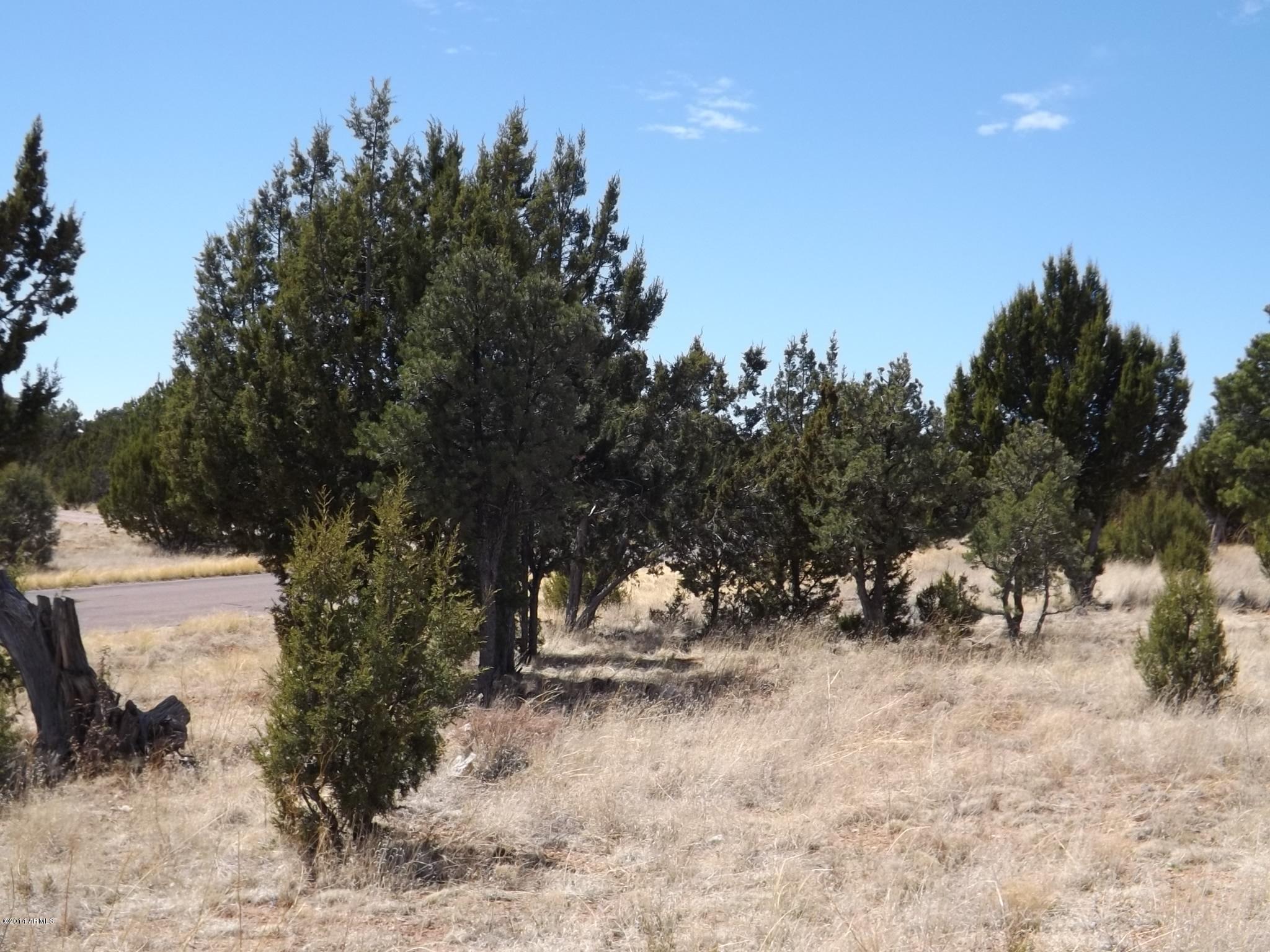 2956 Lodgepole Road, Unit 354 Overgaard, AZ 85933 - Photo 1 of 7 DSCF2186