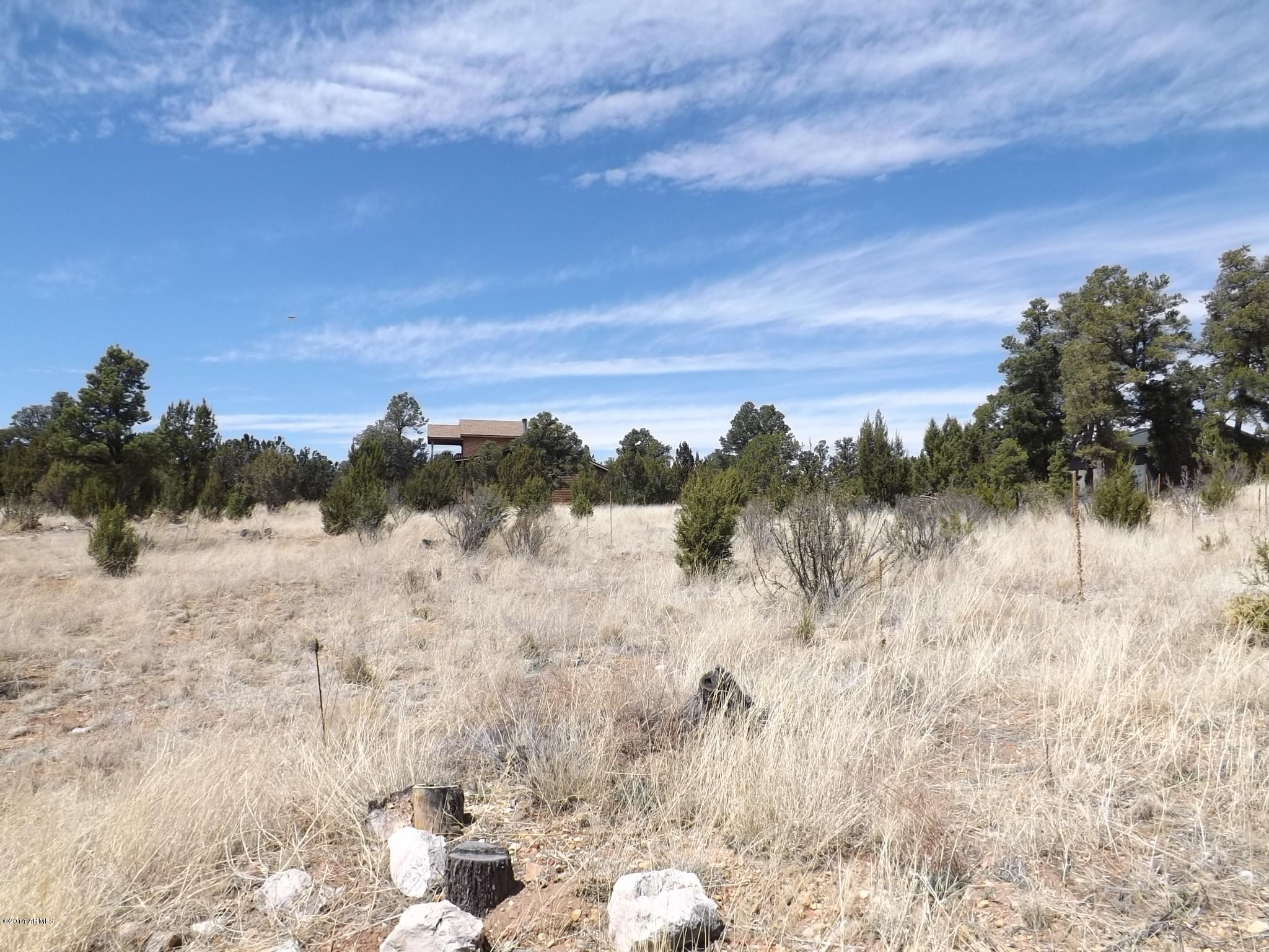 2956 Lodgepole Road, Unit 354 Overgaard, AZ 85933 - Photo 4 of 7 DSCF2184