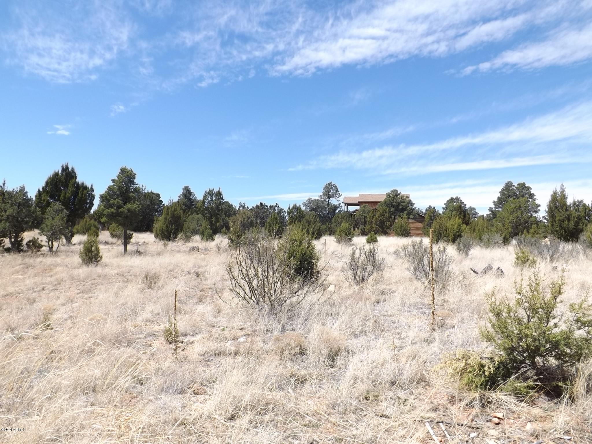 2956 Lodgepole Road, Unit 354 Overgaard, AZ 85933 - Photo 5 of 7 DSCF2185