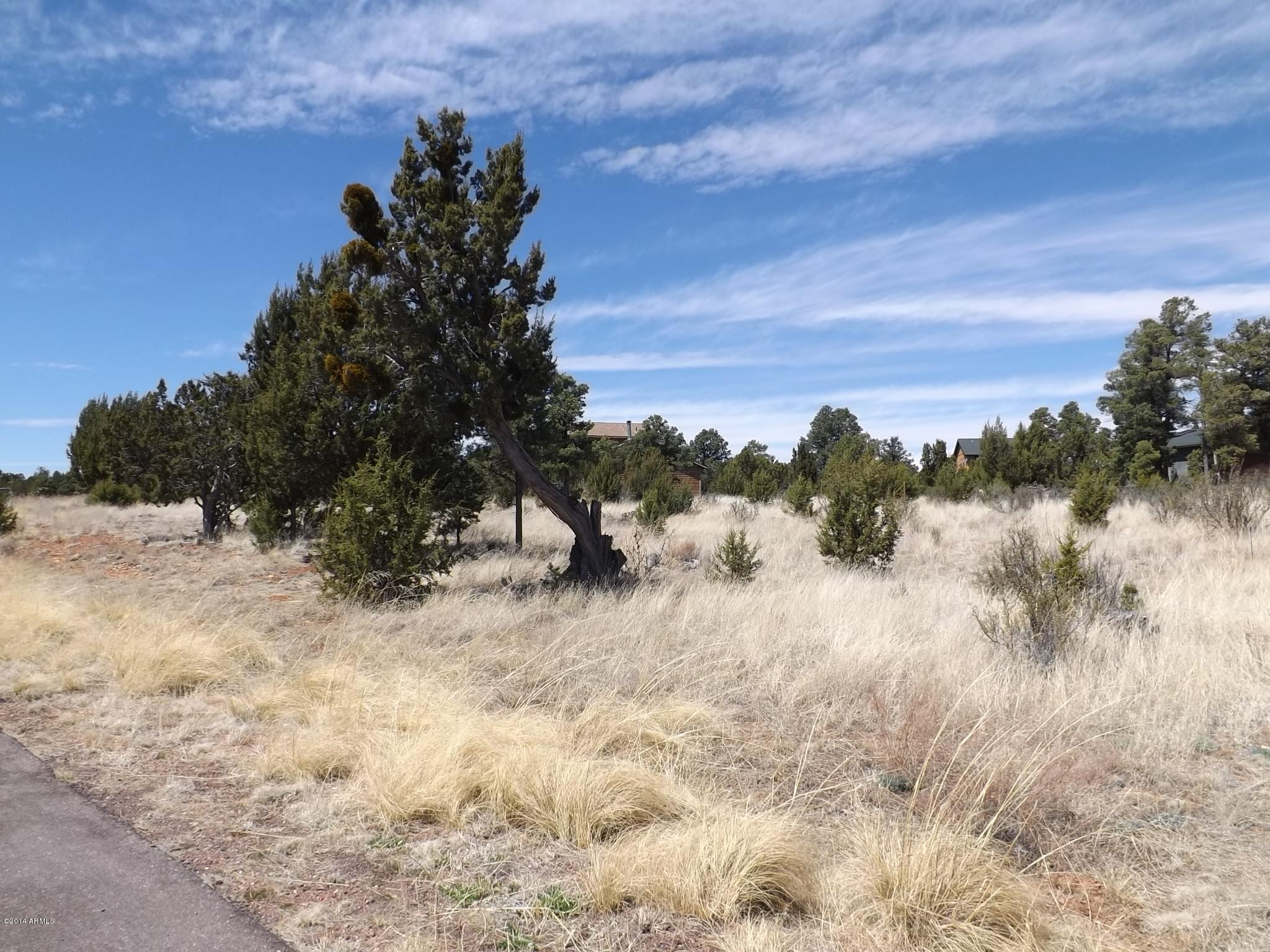 2956 Lodgepole Road, Unit 354 Overgaard, AZ 85933 - Photo 6 of 7 DSCF2189