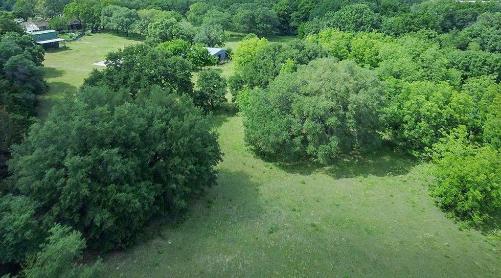 1846 Farm To Market 51 Decatur, TX 76234 - Photo 6 of 12 a view of a lush green forest with lots of trees