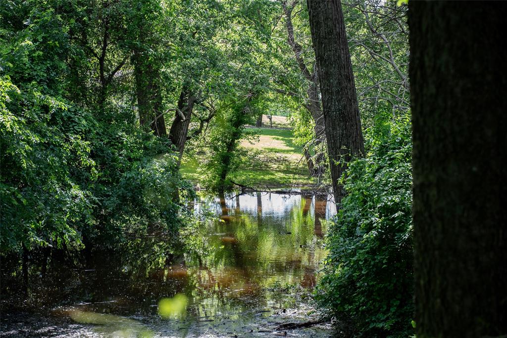 1846 Farm To Market 51 Decatur, TX 76234 - Photo 10 of 12 a lake view with large trees