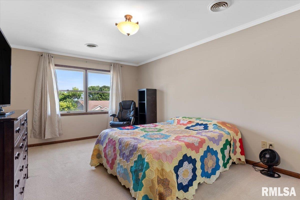 61 Taft Drive Rochester, IL 62563 - Photo 12 of 29