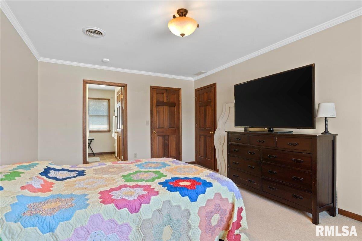 61 Taft Drive Rochester, IL 62563 - Photo 13 of 29