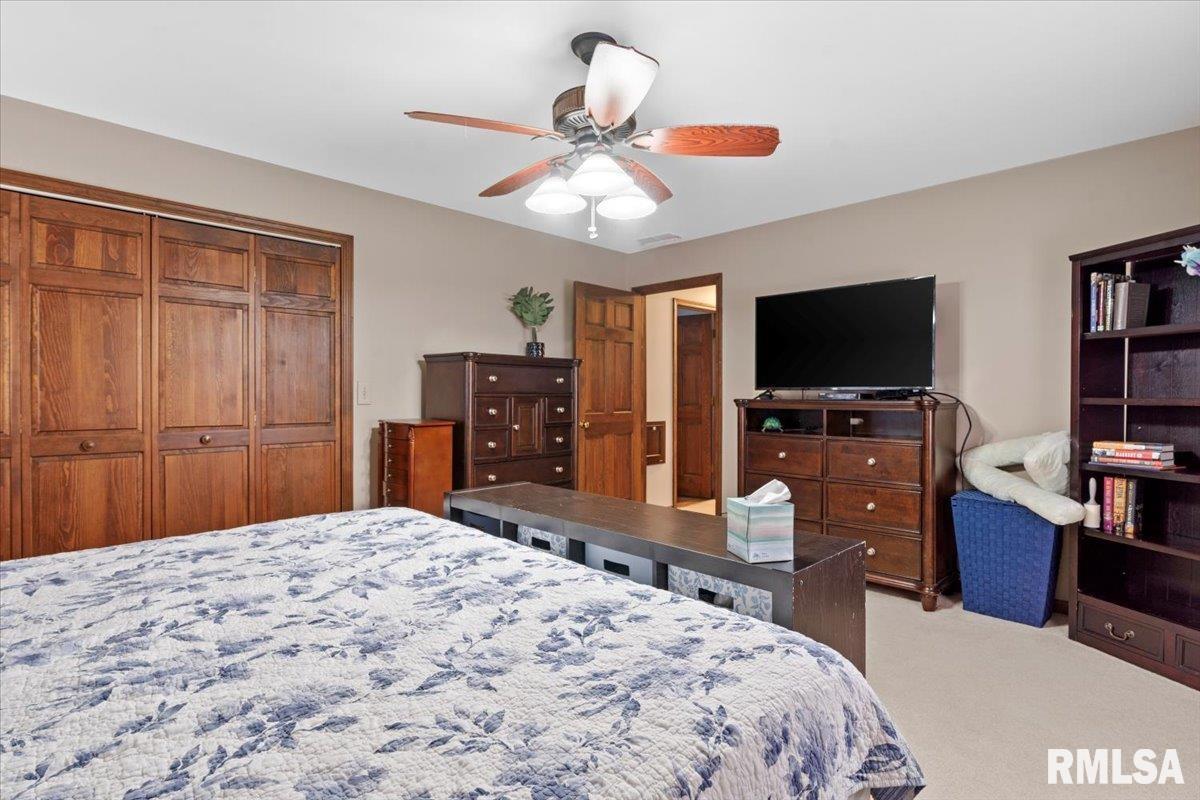 61 Taft Drive Rochester, IL 62563 - Photo 18 of 29