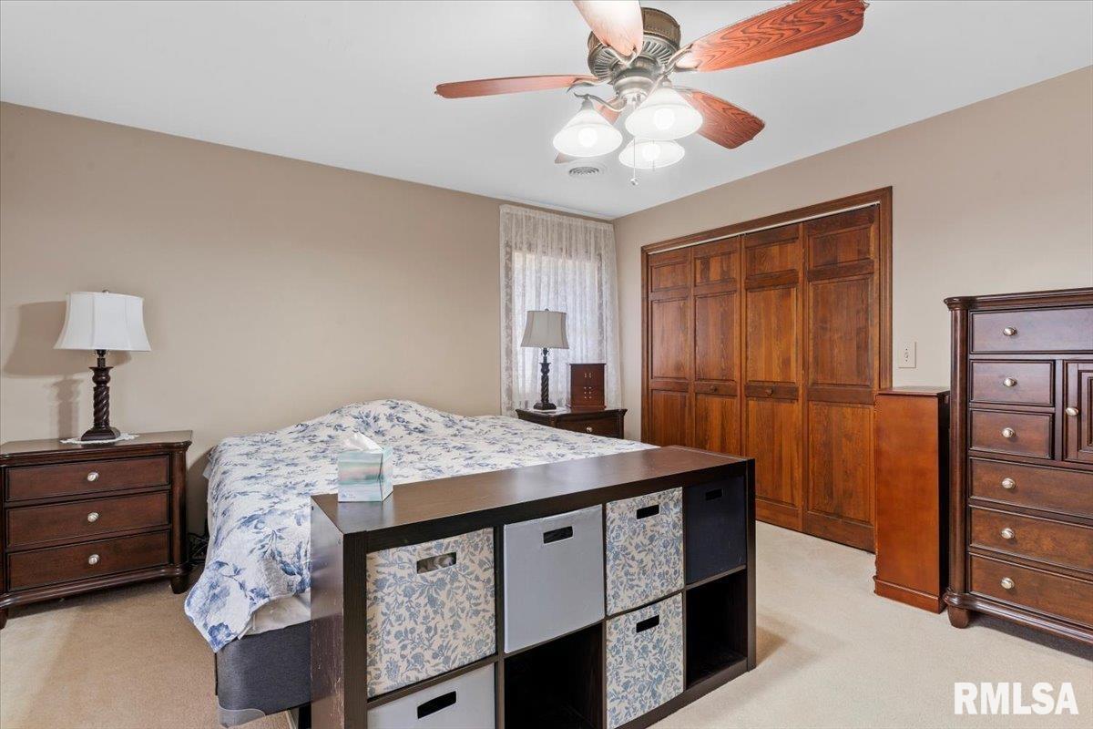 61 Taft Drive Rochester, IL 62563 - Photo 19 of 29