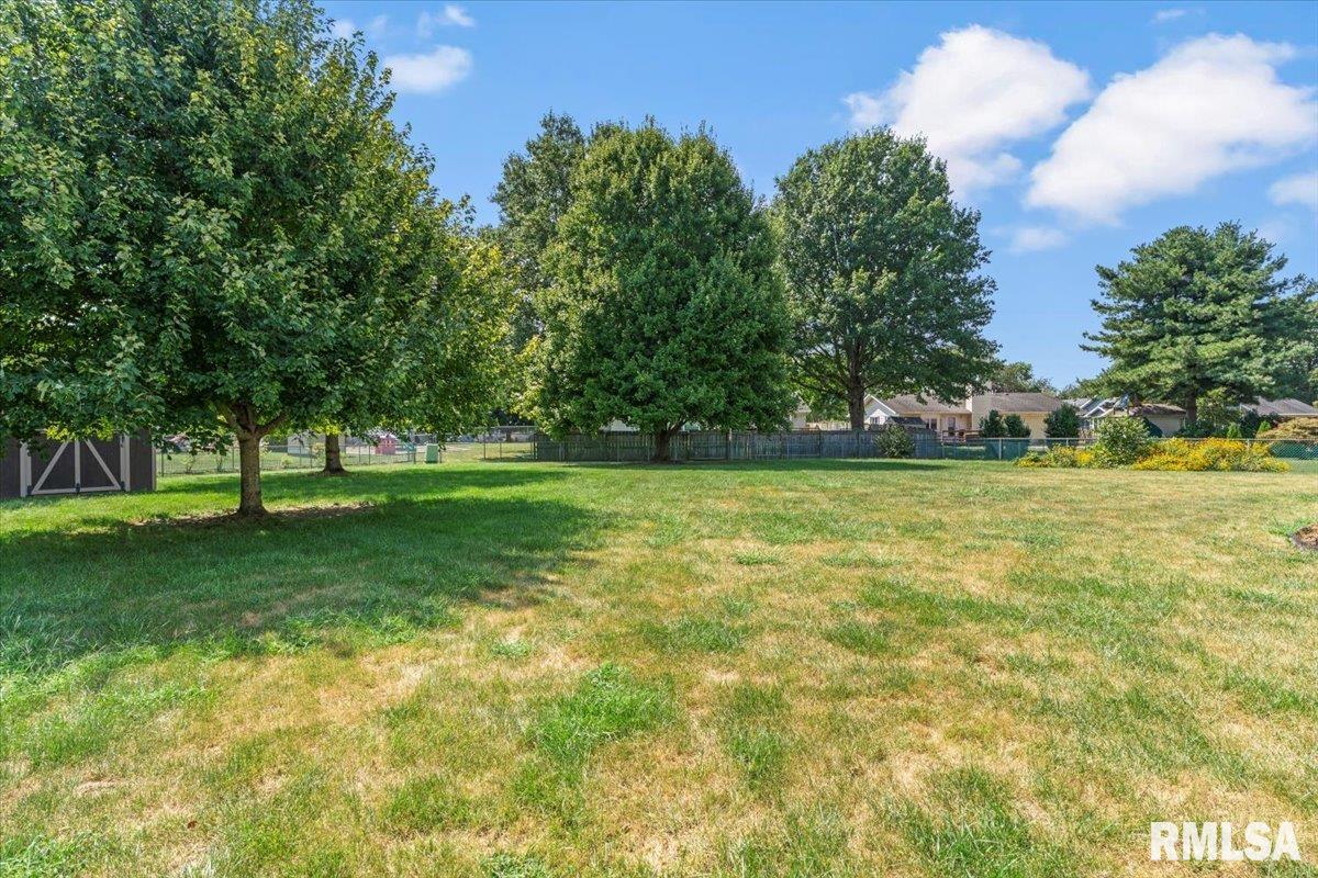 61 Taft Drive Rochester, IL 62563 - Photo 28 of 29