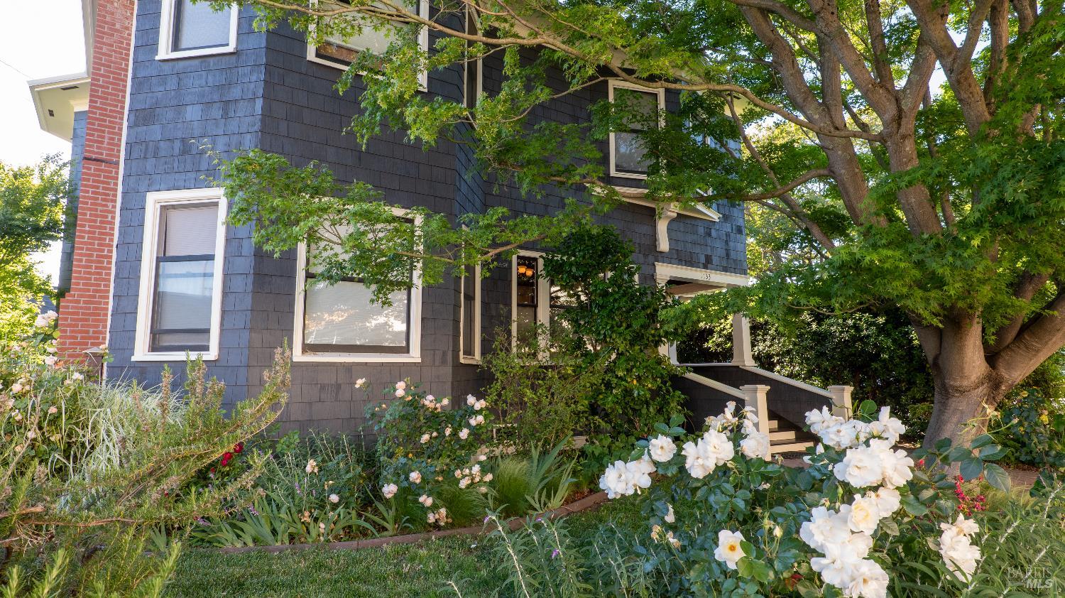 1133 Seminary Street Napa, CA 94559 - Photo 3 of 71