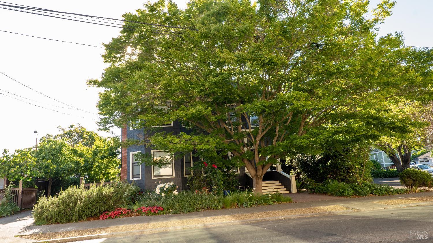 1133 Seminary Street Napa, CA 94559 - Photo 5 of 71