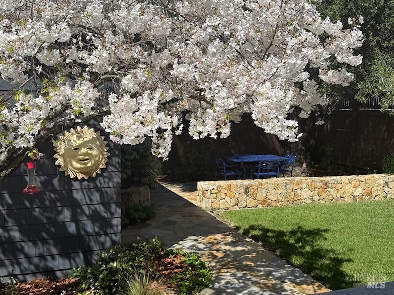 1133 Seminary Street Napa, CA 94559 - Photo 59 of 71