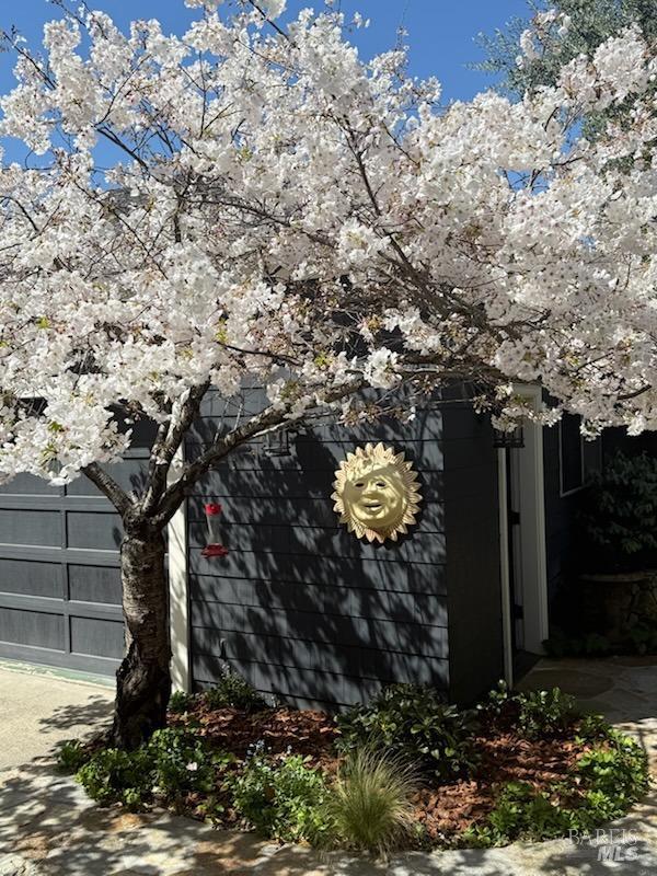 1133 Seminary Street Napa, CA 94559 - Photo 62 of 71