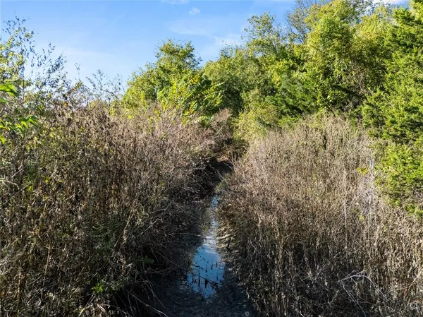 a view of a back yard