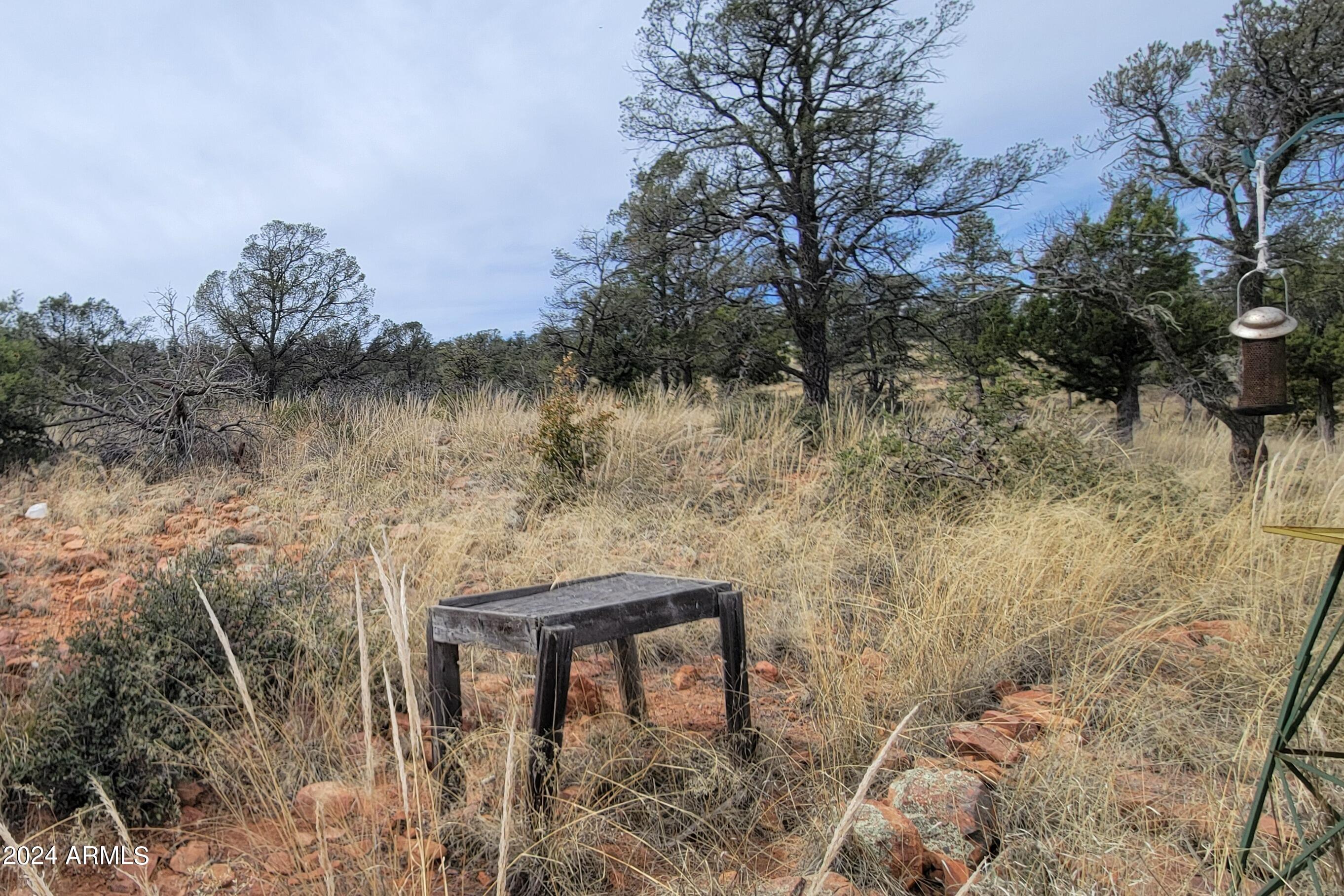 2106 North Cold Springs Point Payson, AZ 85541 - Photo 20 of 27 Back 1