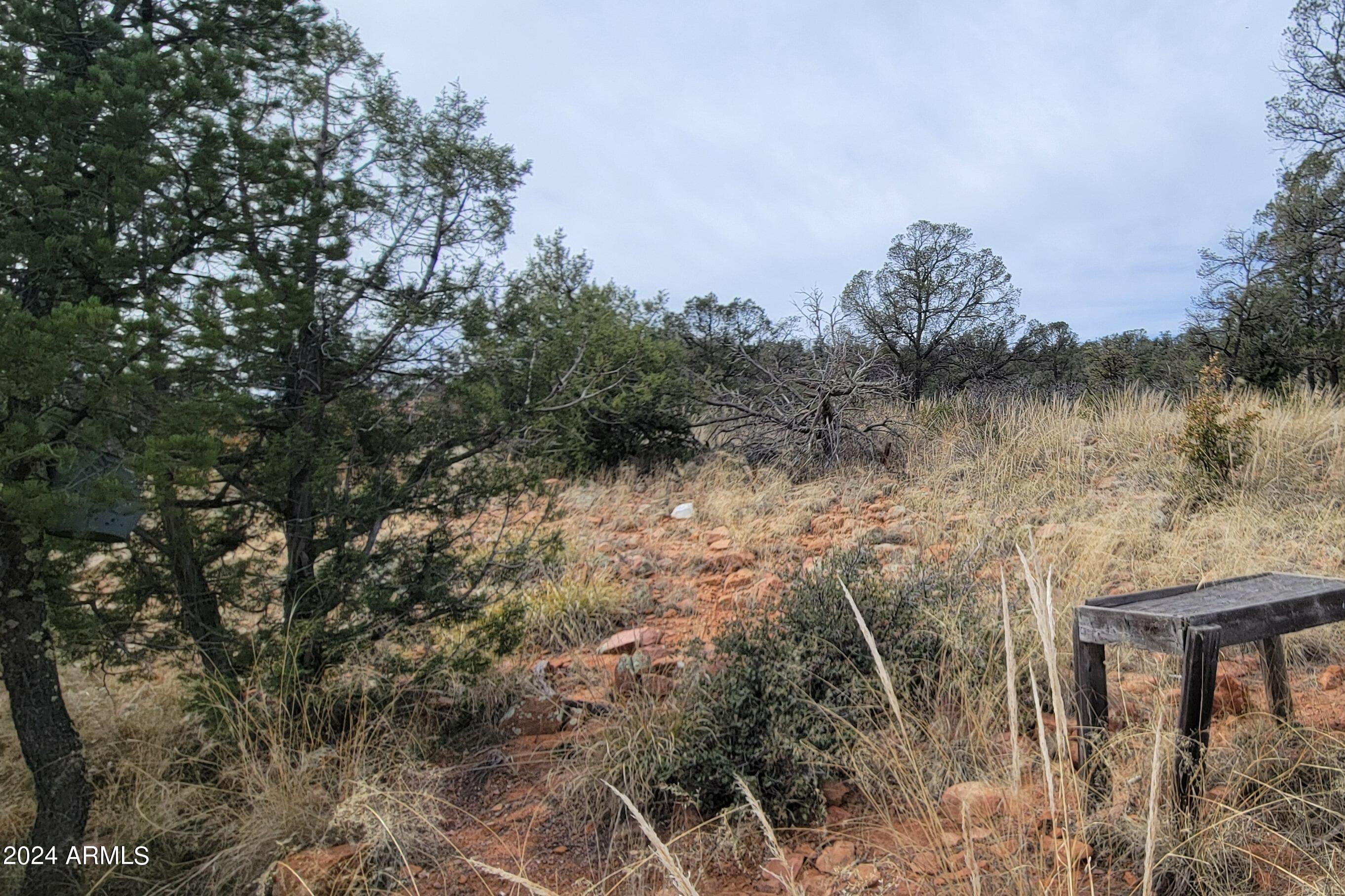 2106 North Cold Springs Point Payson, AZ 85541 - Photo 21 of 27 Back 2