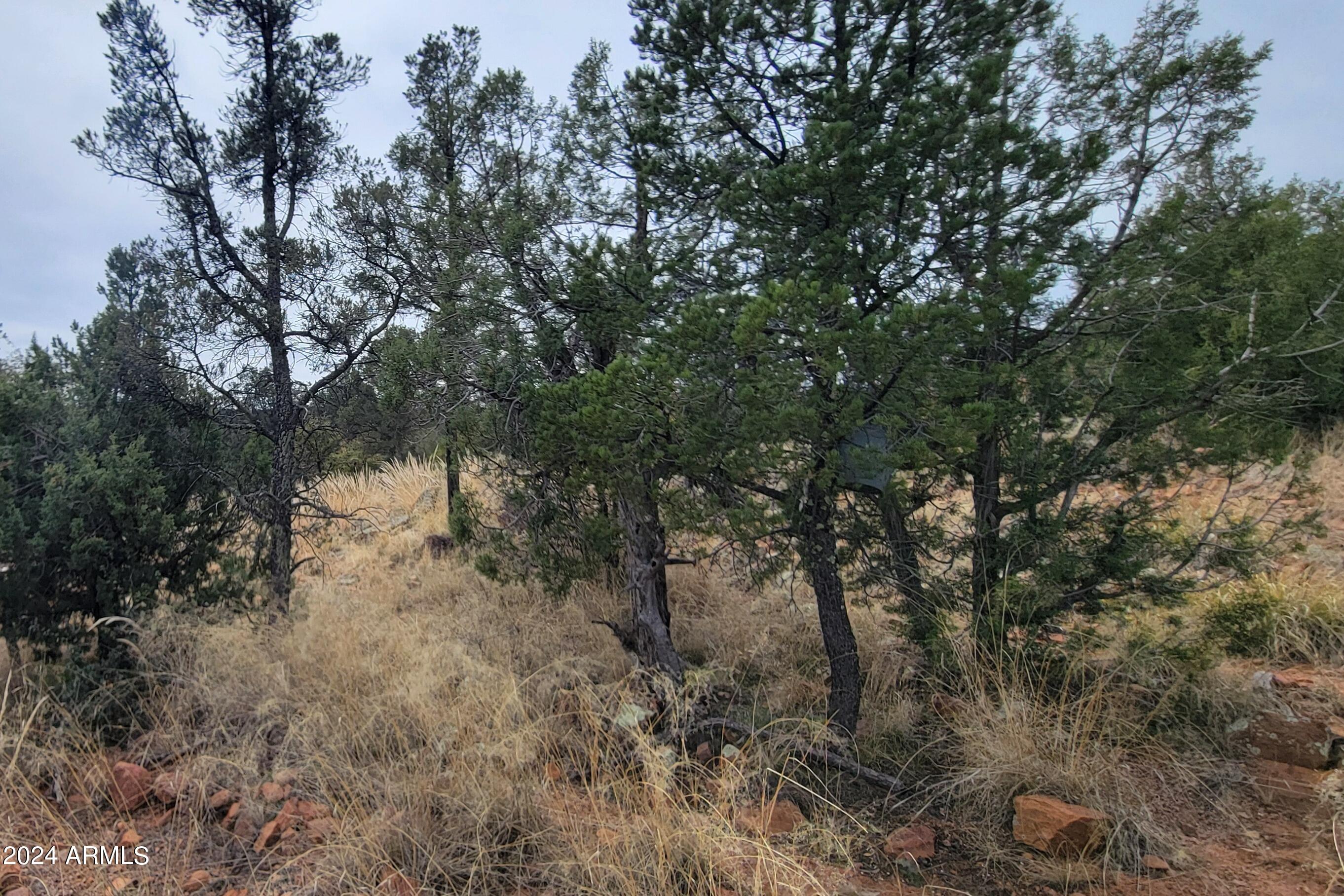 2106 North Cold Springs Point Payson, AZ 85541 - Photo 22 of 27 Backy 4