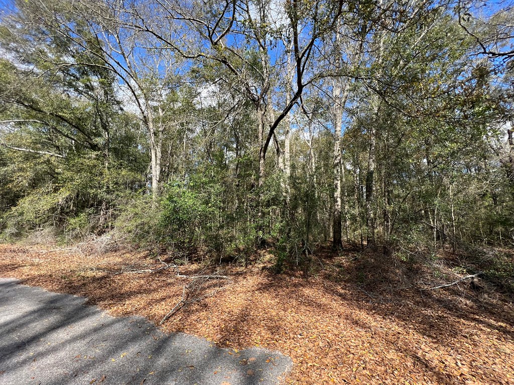 0 5th Avenue Geneva, AL 36340 - Photo 4 of 6