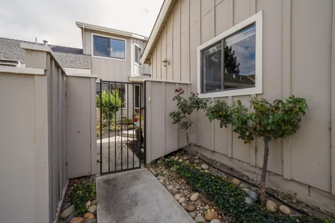 a house with a plant in front of it