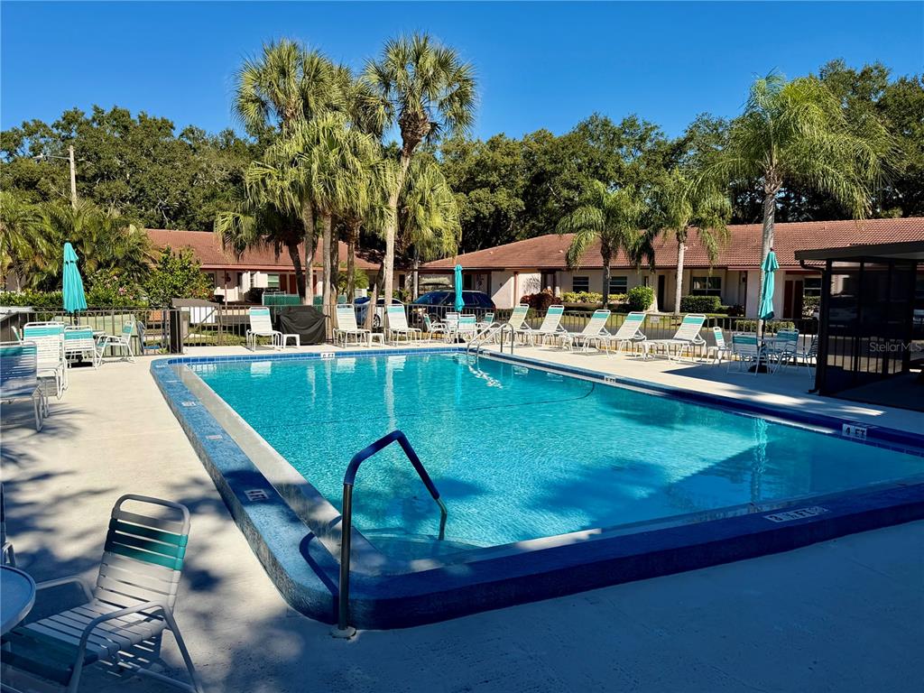 1114 Castlemay Circle Dunedin, FL 34698 - Photo 29 of 45