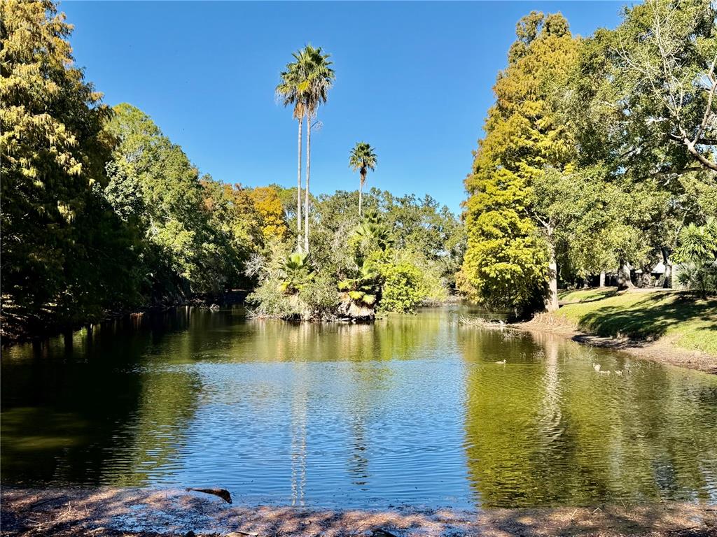 1114 Castlemay Circle Dunedin, FL 34698 - Photo 35 of 45