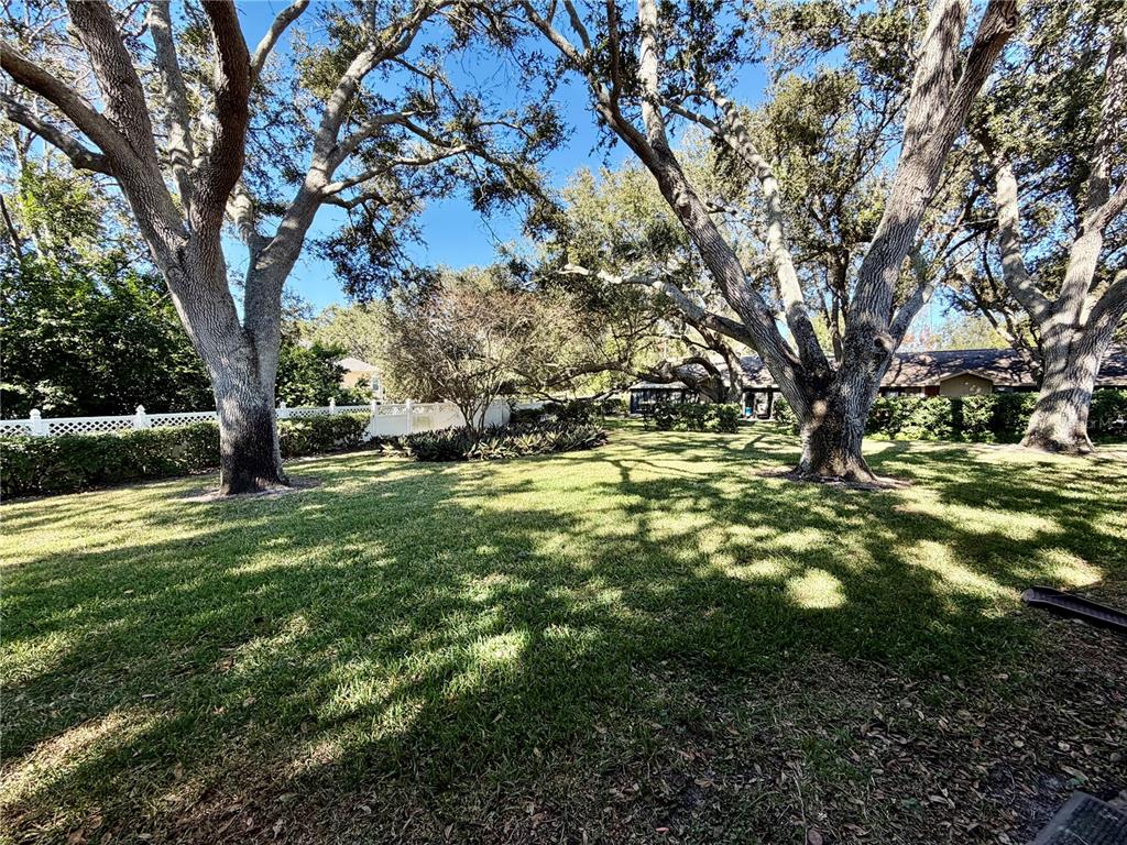 1114 Castlemay Circle Dunedin, FL 34698 - Photo 7 of 45